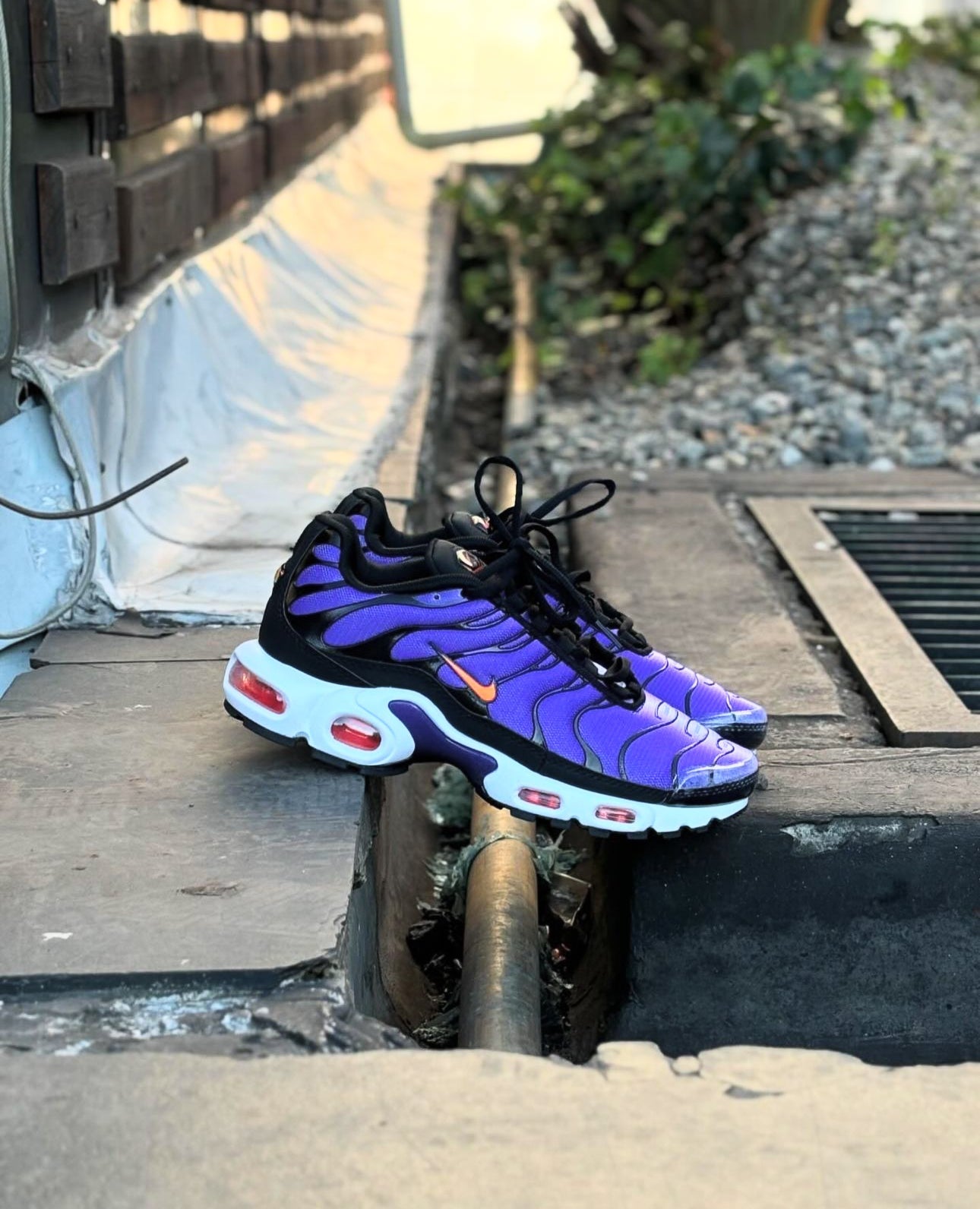 NIKE TN PURPLE