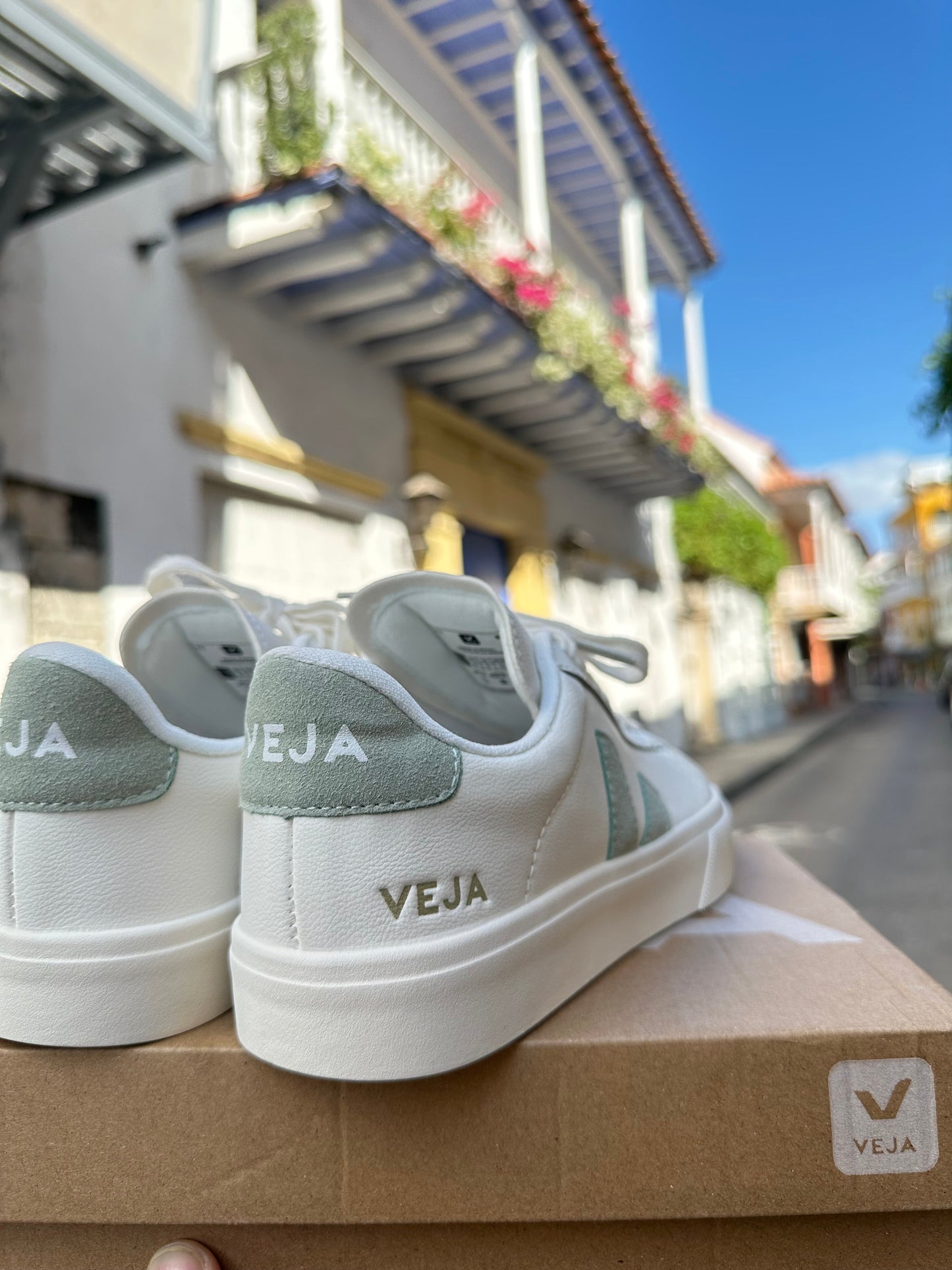 VEJA CAMPO VERDE PASTEL