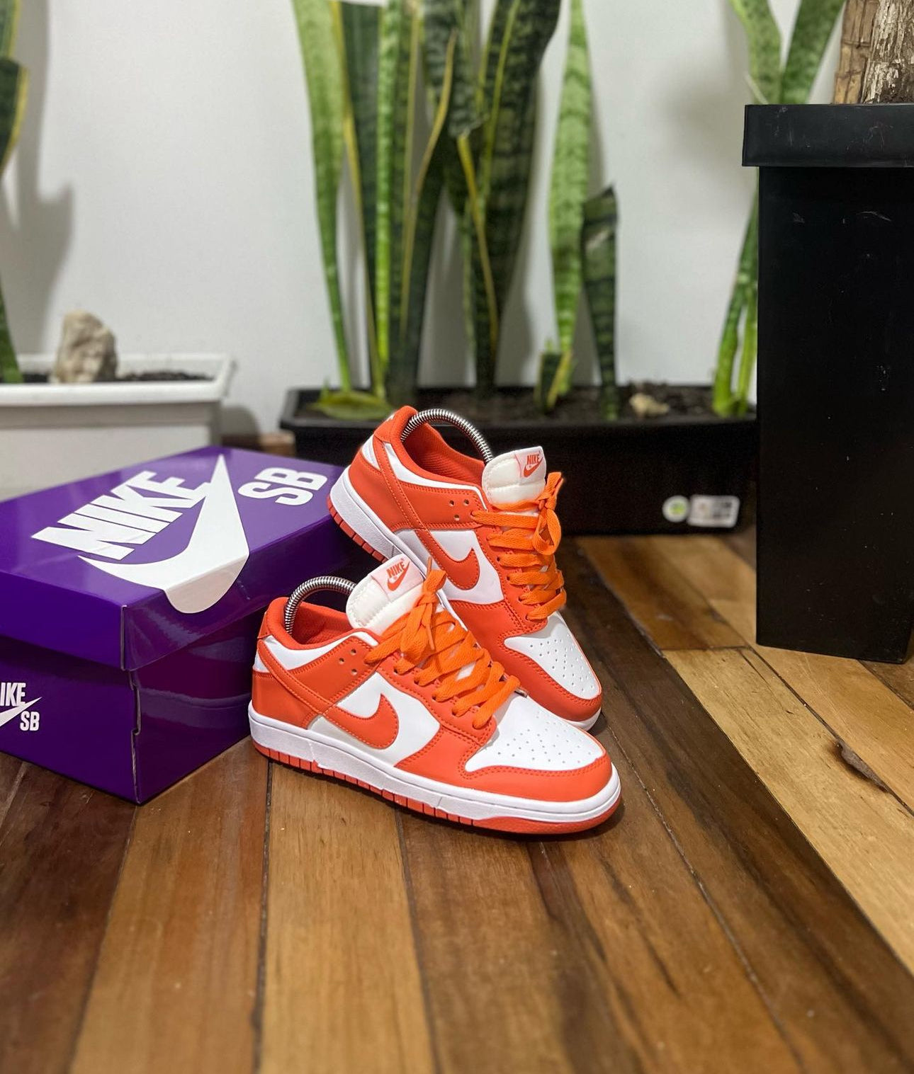 Nike Sb Dunk Naranja